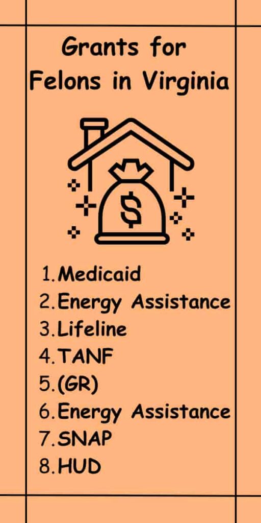 Grants for Felons in Virginia