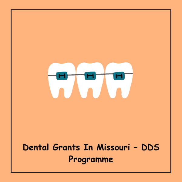 Dental Grants In Missouri – DDS Programme